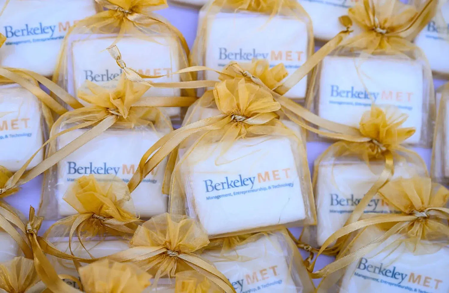 b6b1c04c-0bc0-492b-b785-71c059599a16