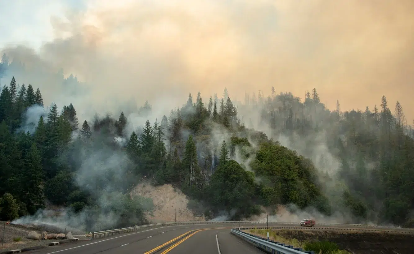 b9ed1342-4666-4782-94f1-5e09854b5407