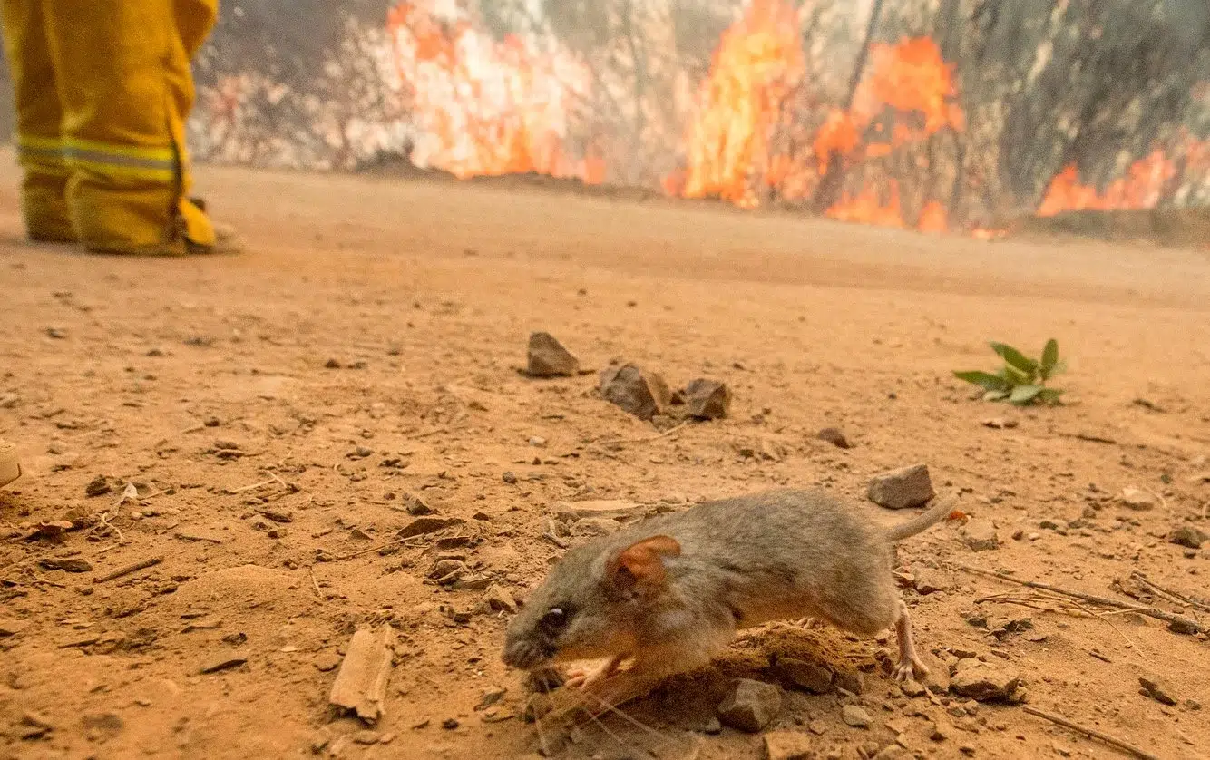 c0e2b0ad-988f-49fc-aea0-06803ce0ae3d