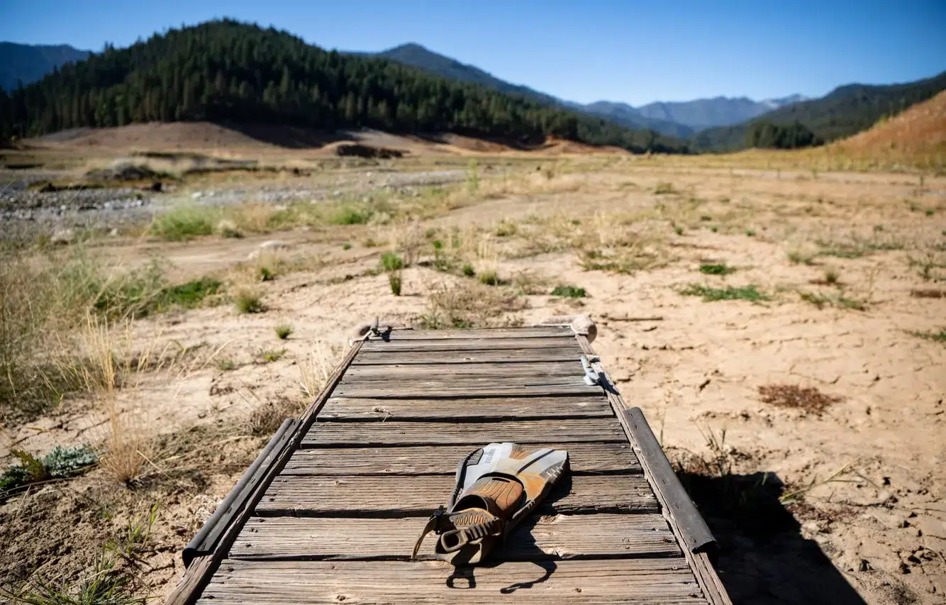 c40e0ea4-e71c-4c18-9a6c-2a65b813f44a