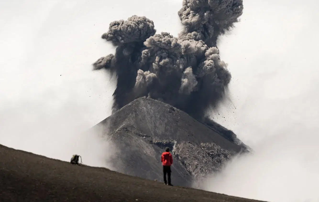 c58e825c-3a5d-449b-afea-fe690d49894d