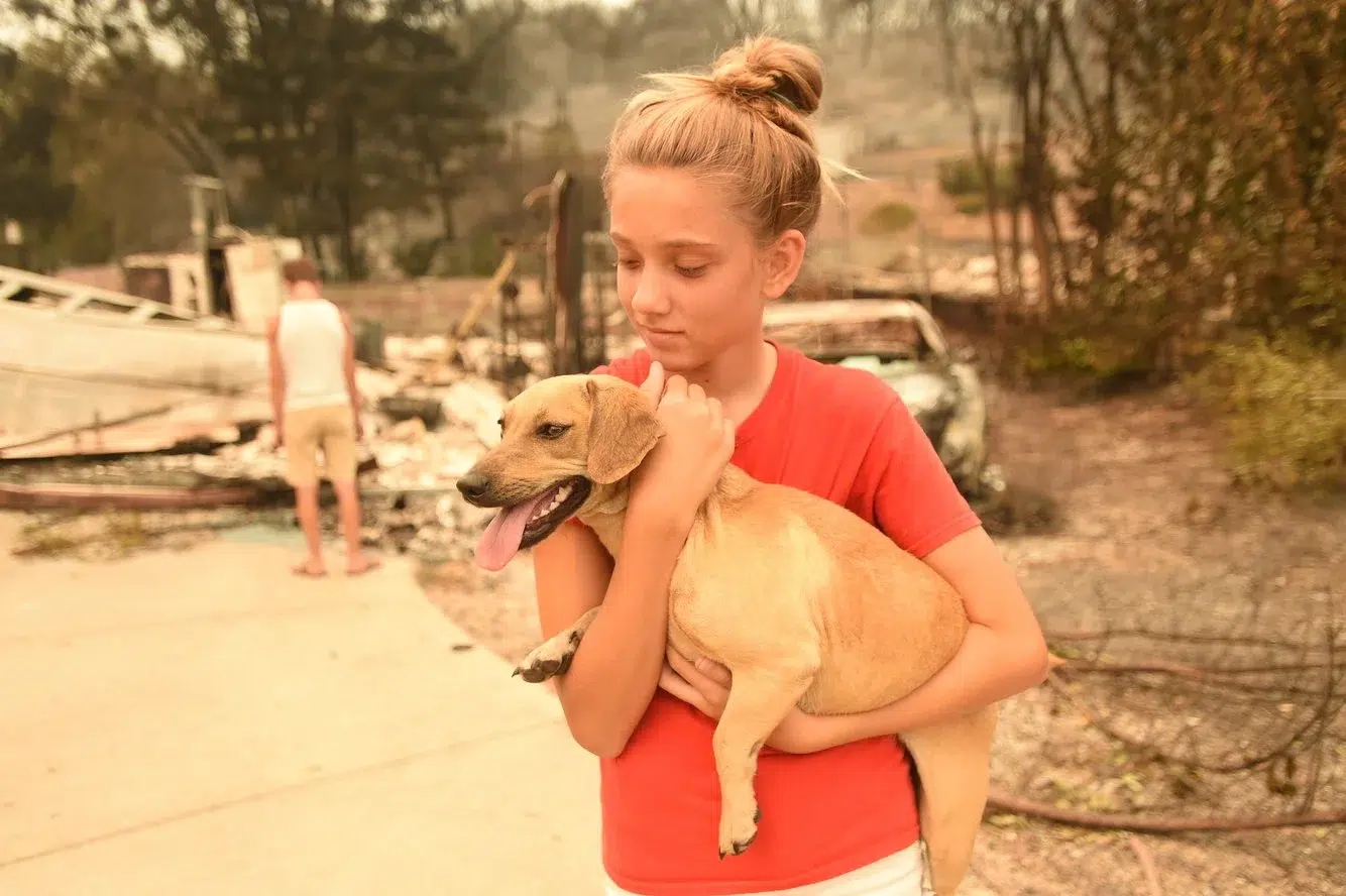 d253e5f0-3279-4879-92fe-309c580a4ee4