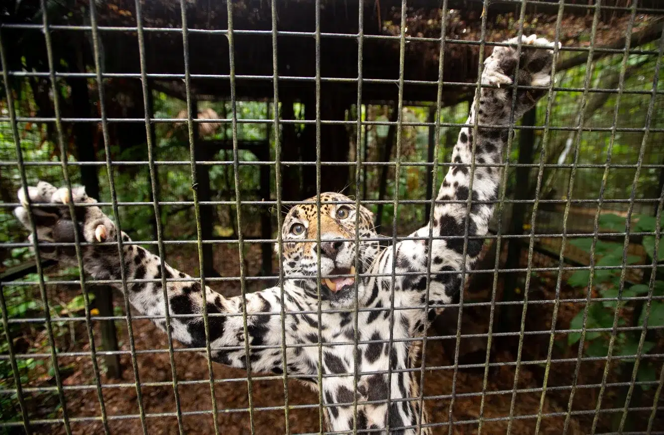 d3b22cfd-26a2-414d-8a4b-bf349cbe9876