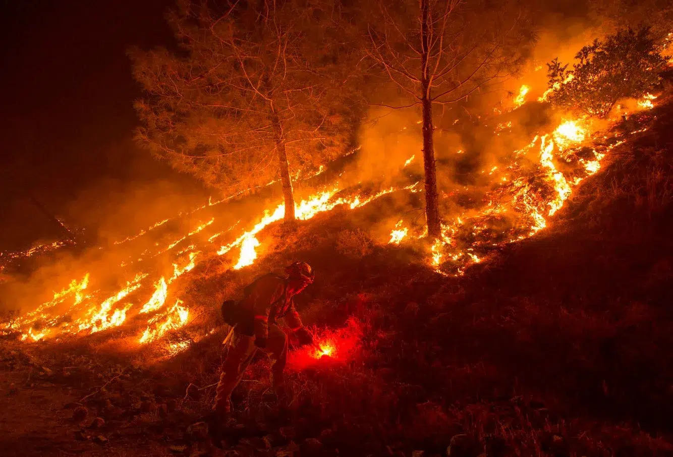 d61c2e87-7549-4557-97c6-861a3b34307d