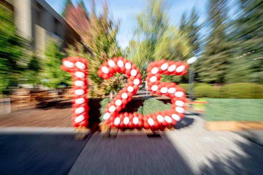 d638efab-ed07-4392-8ecc-09206d318771