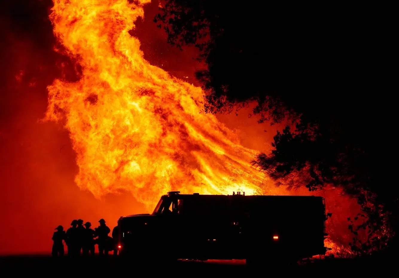 d8c5b299-c462-41db-8ae3-97ecc2336870