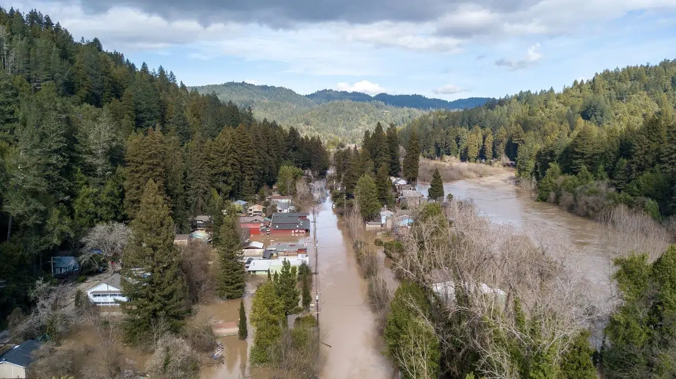 d8e724d4-fab9-4956-9239-4ded375605fb