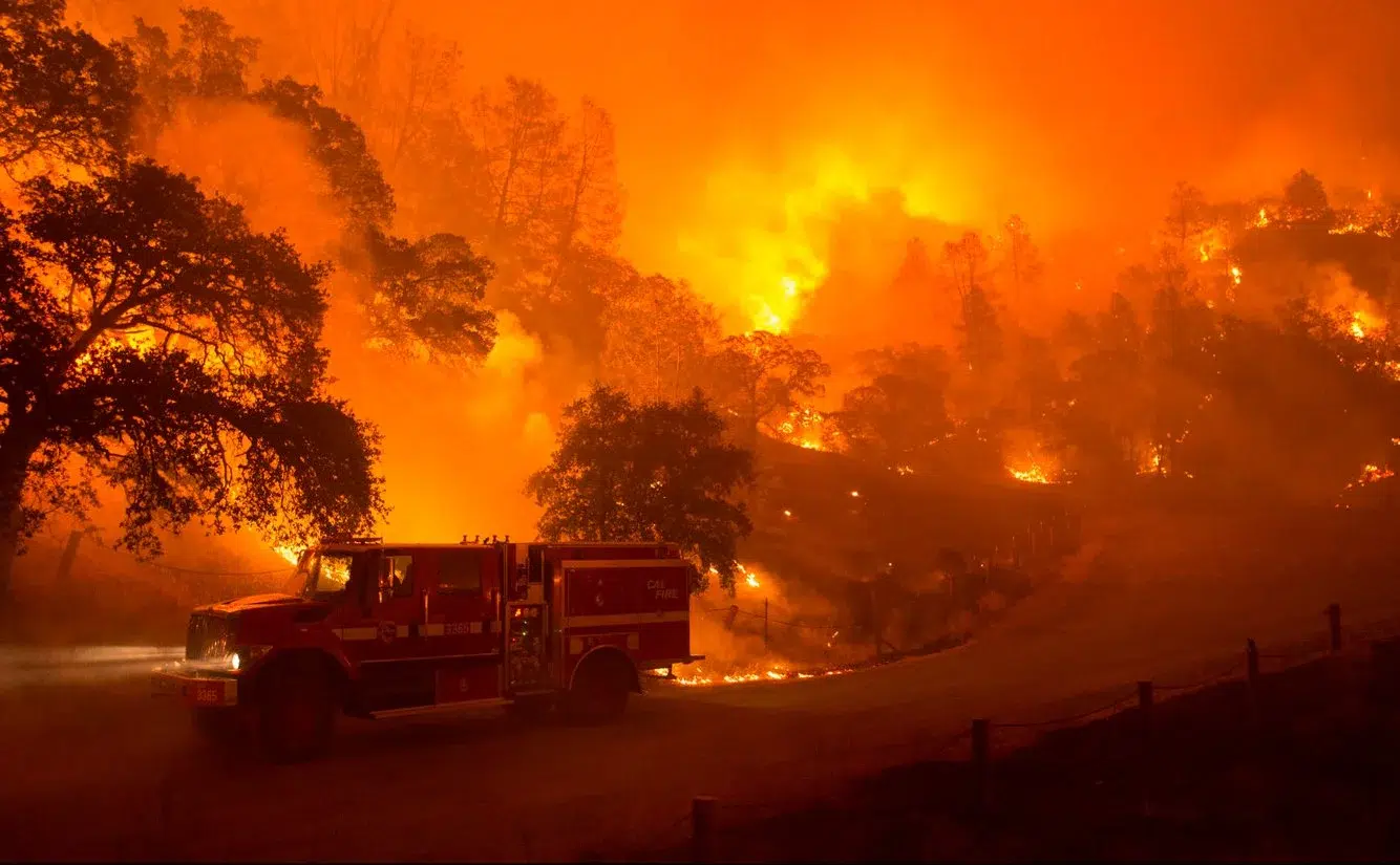 da21b0c2-95a1-4196-abe4-379fa0bf2d48