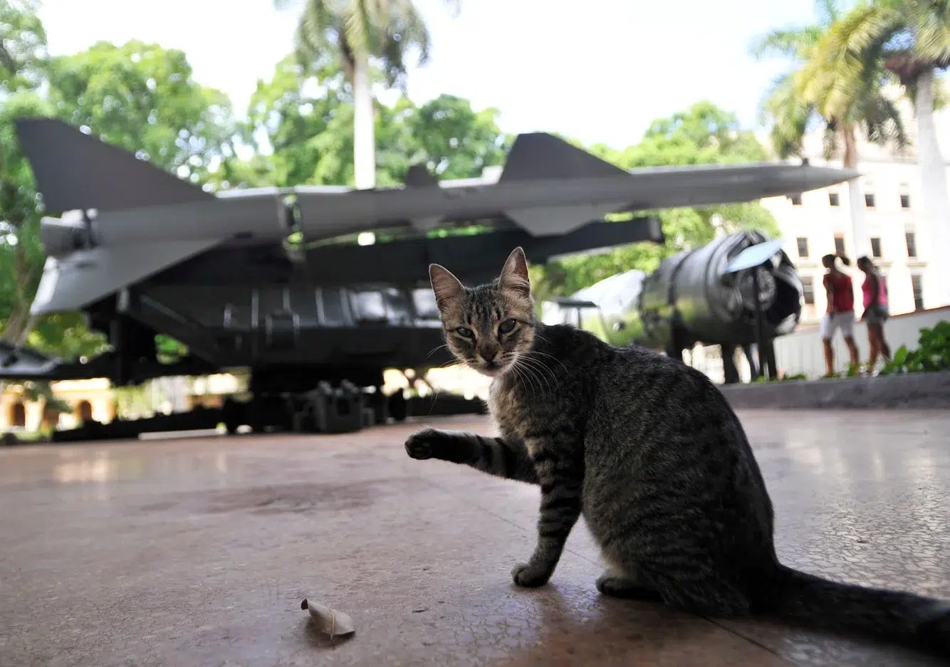 ddd4267c-6fec-47eb-aec7-47d9e3b77e3e