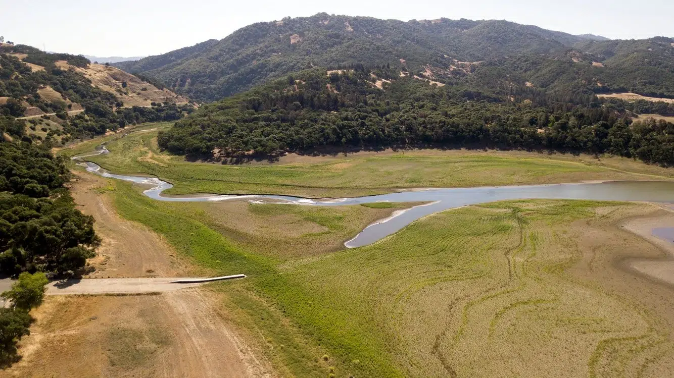 e39c40b9-3c7c-4d96-8264-f8e961b16870