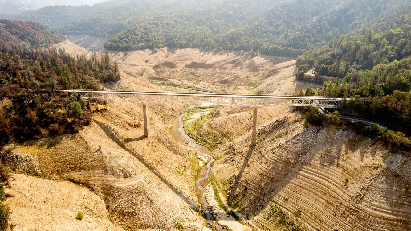 e53f2c21-482f-4a9f-a2a0-513dd65a1973