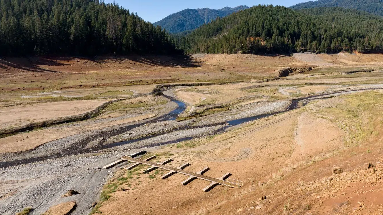 e808c3a4-30ae-4ed0-b5e5-2d5456552d64