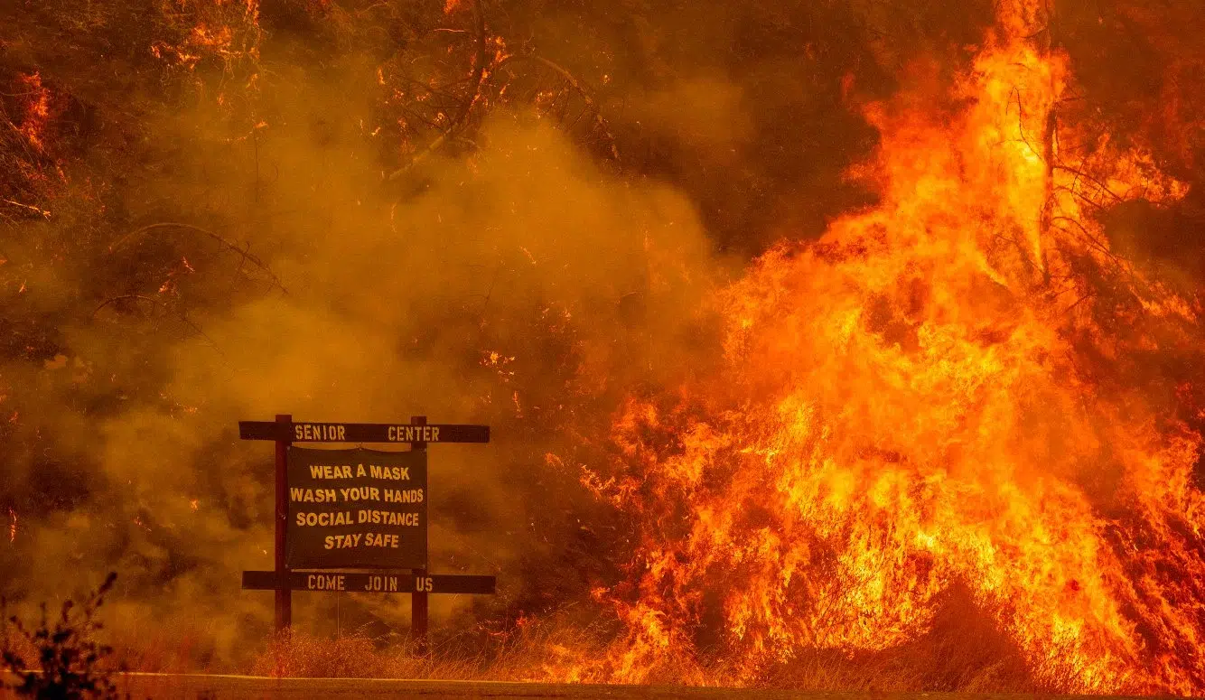 eb9c6568-5001-4070-af32-3ee2b15b13e2