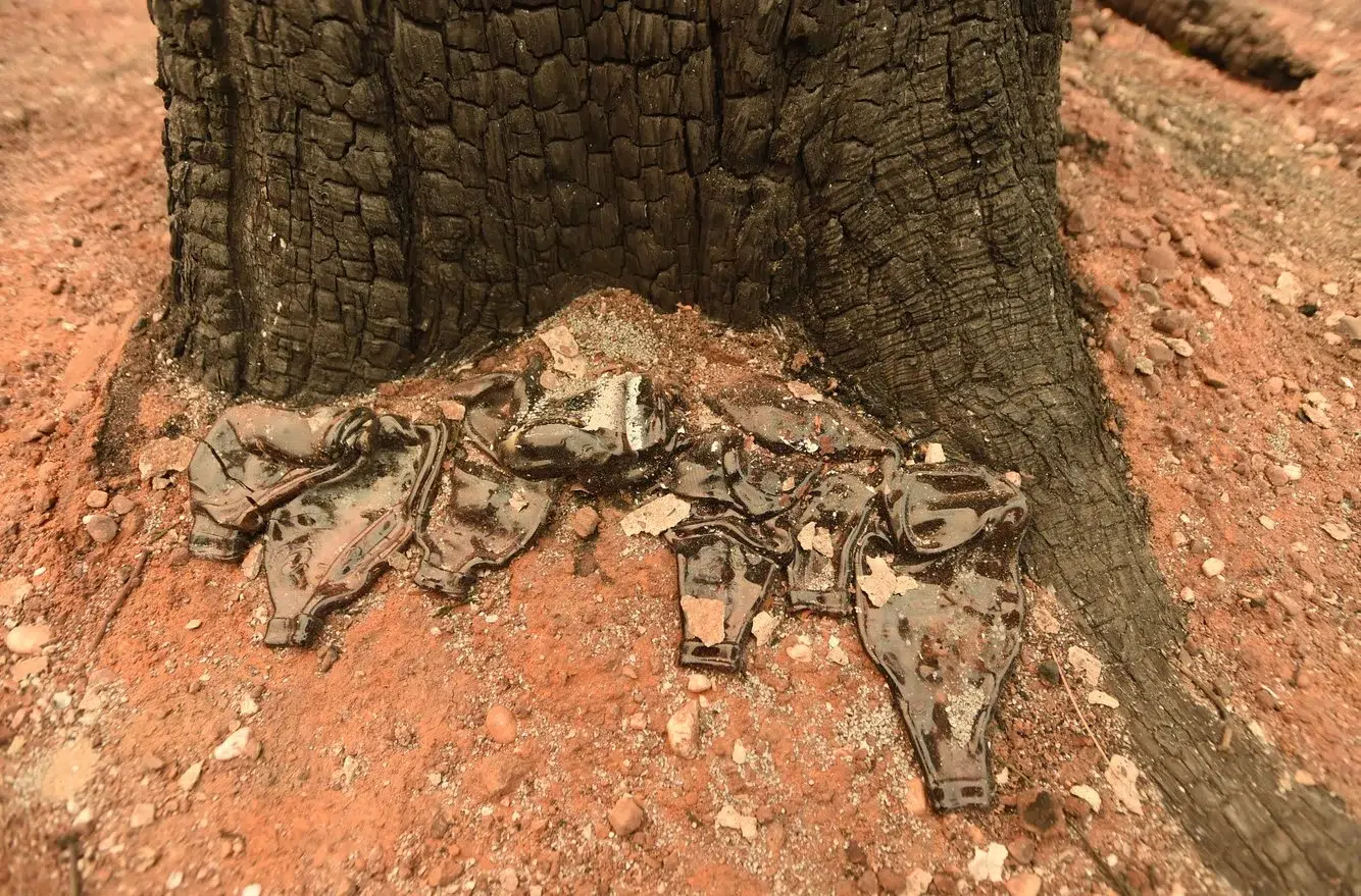 ed355580-0d1f-4977-a9d5-90e4cddece06