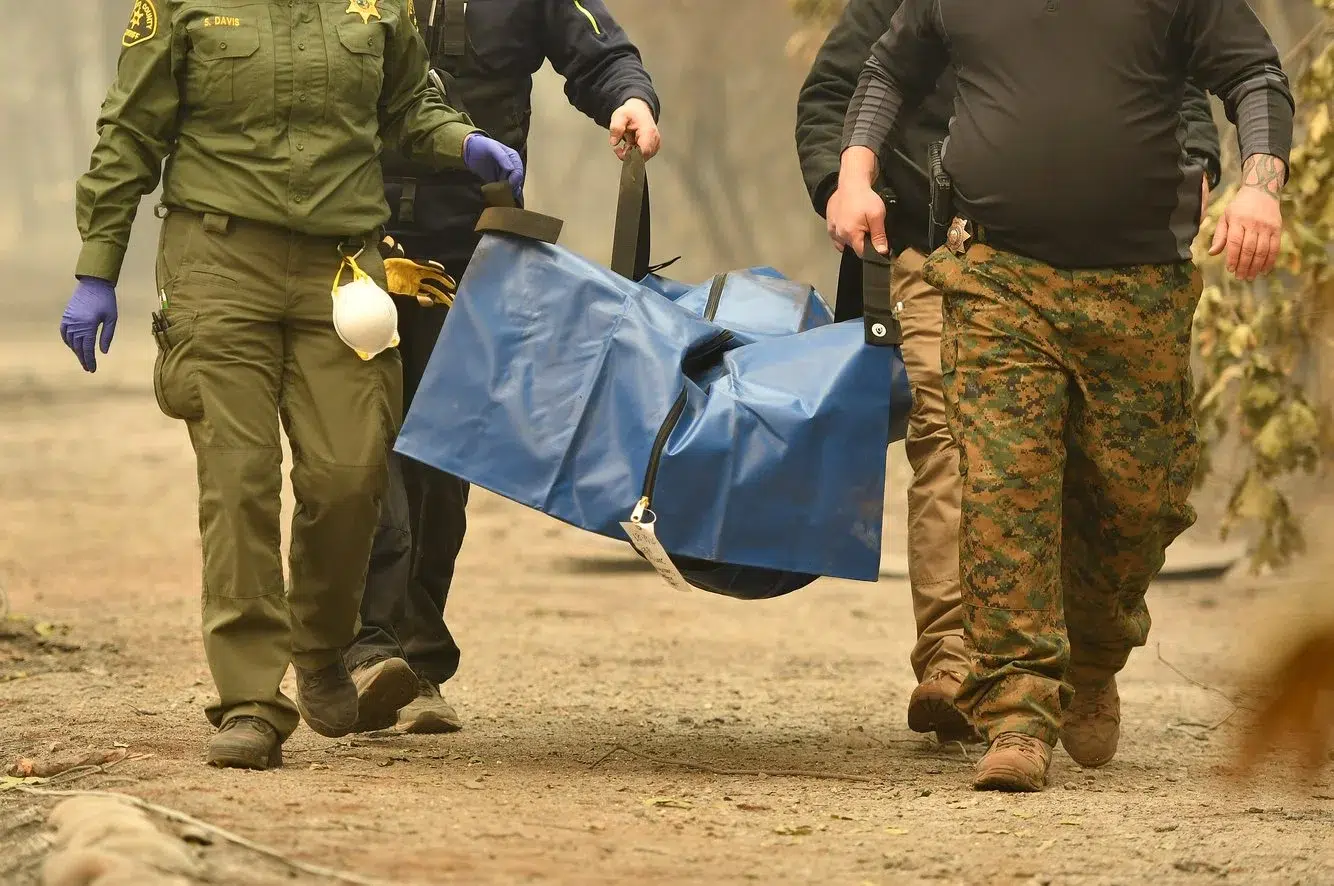 f2a792aa-e176-4ea4-ad1e-0b320078984b