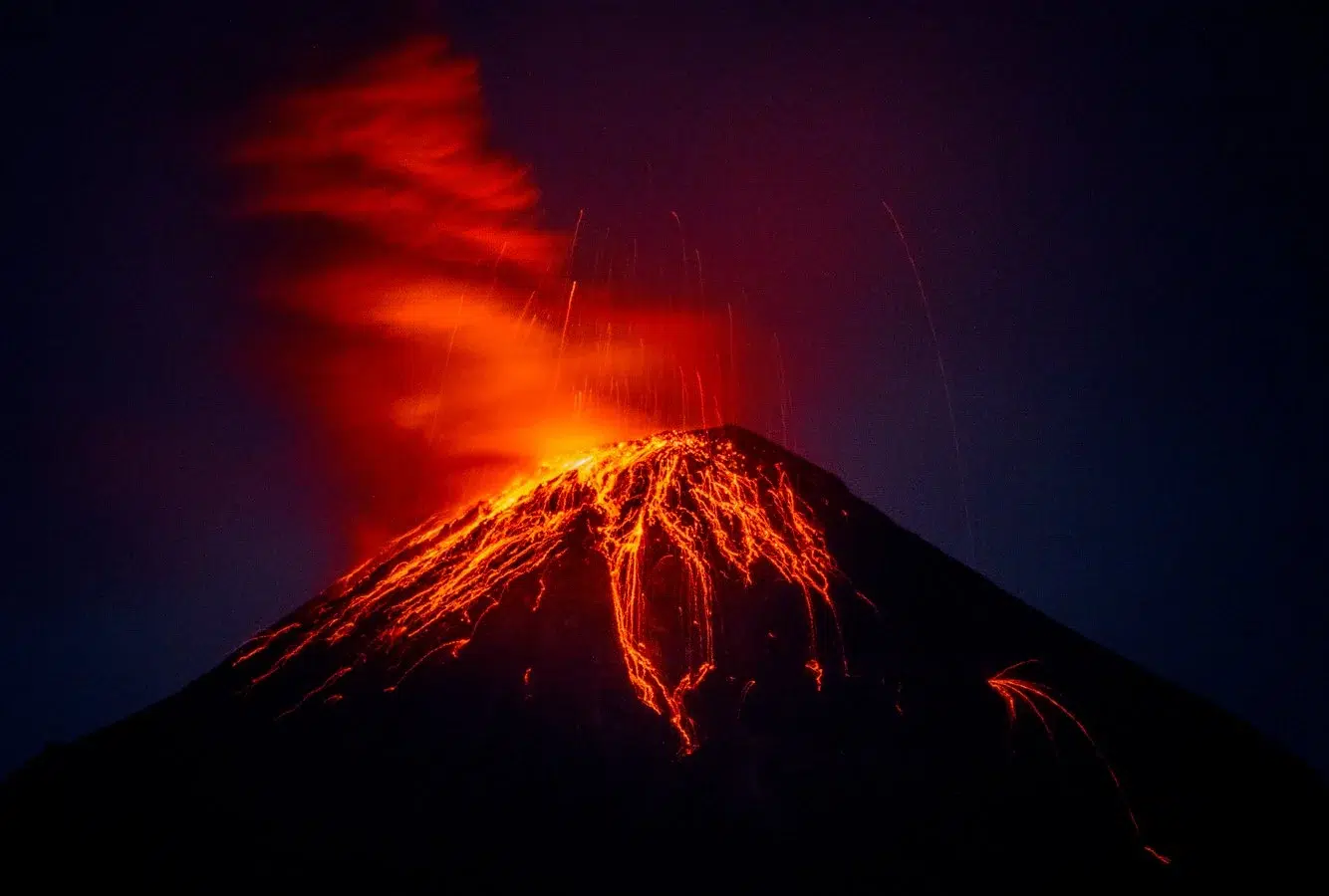 f4133906-535d-4d6c-bceb-29a81a8b7dd6