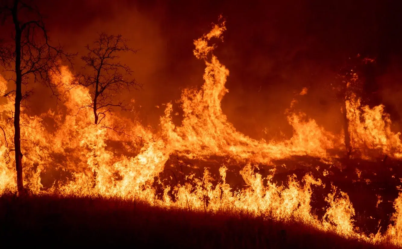 f6f33e16-0a9a-48bb-90c7-5d83c0083e1f