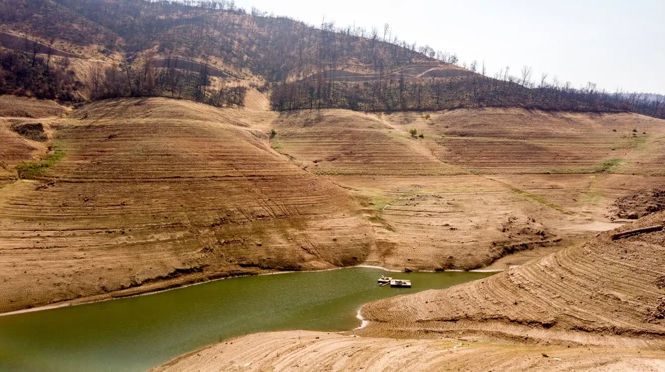 ffbec48d-d098-45a6-8e6e-e594f90b35e2